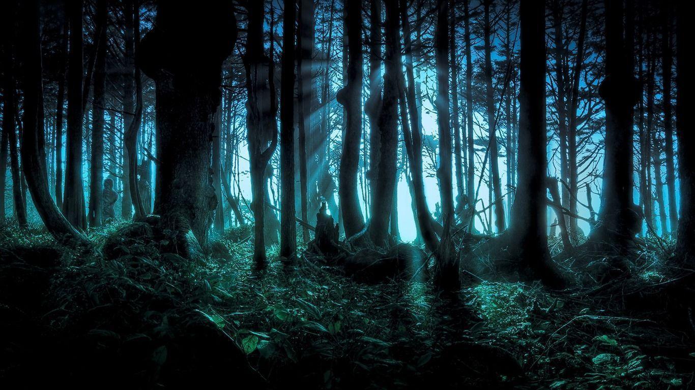 Mysterious forest wallpaper wallpaper download