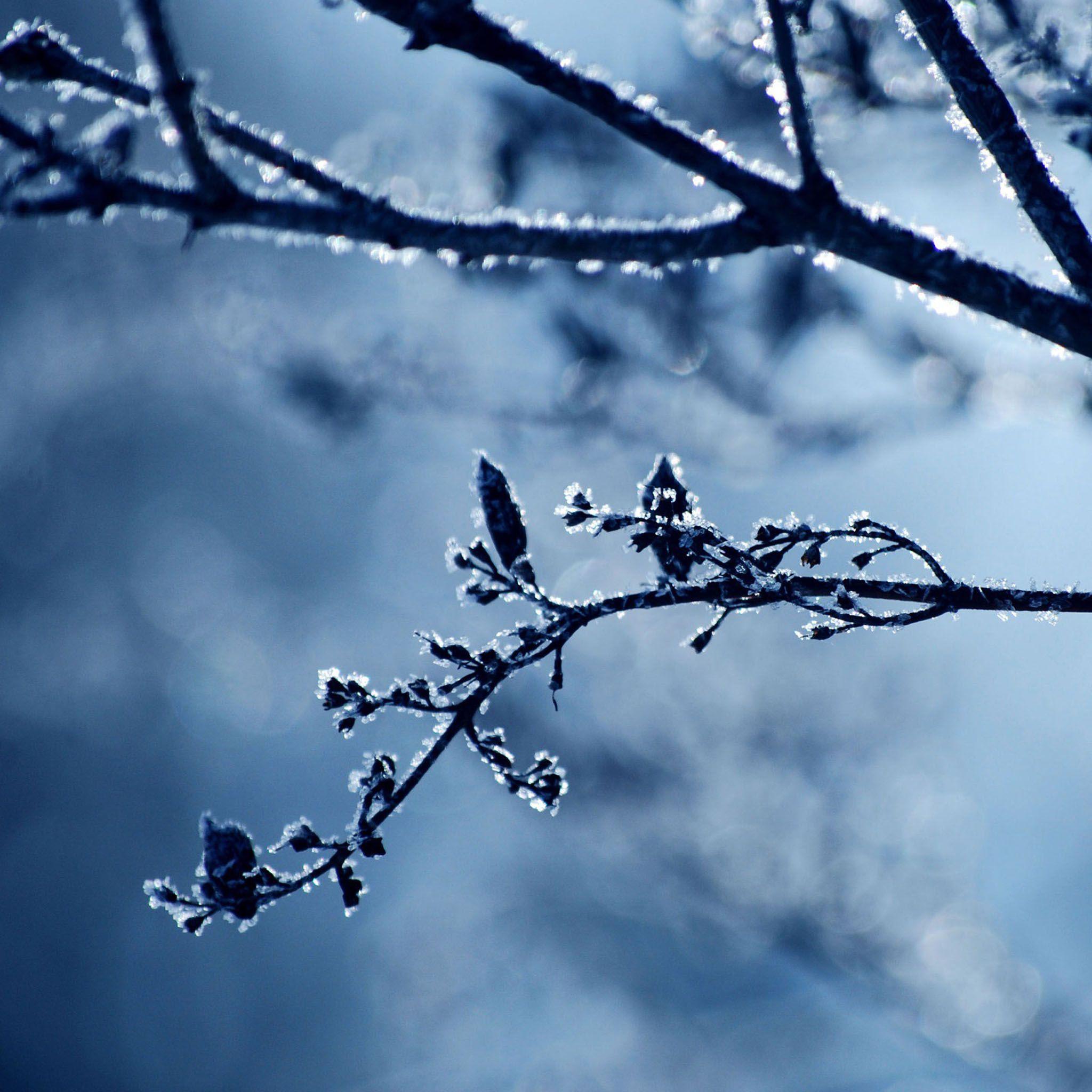 Cold Day Winter Theme Desktop / HD iPad Wallpaper