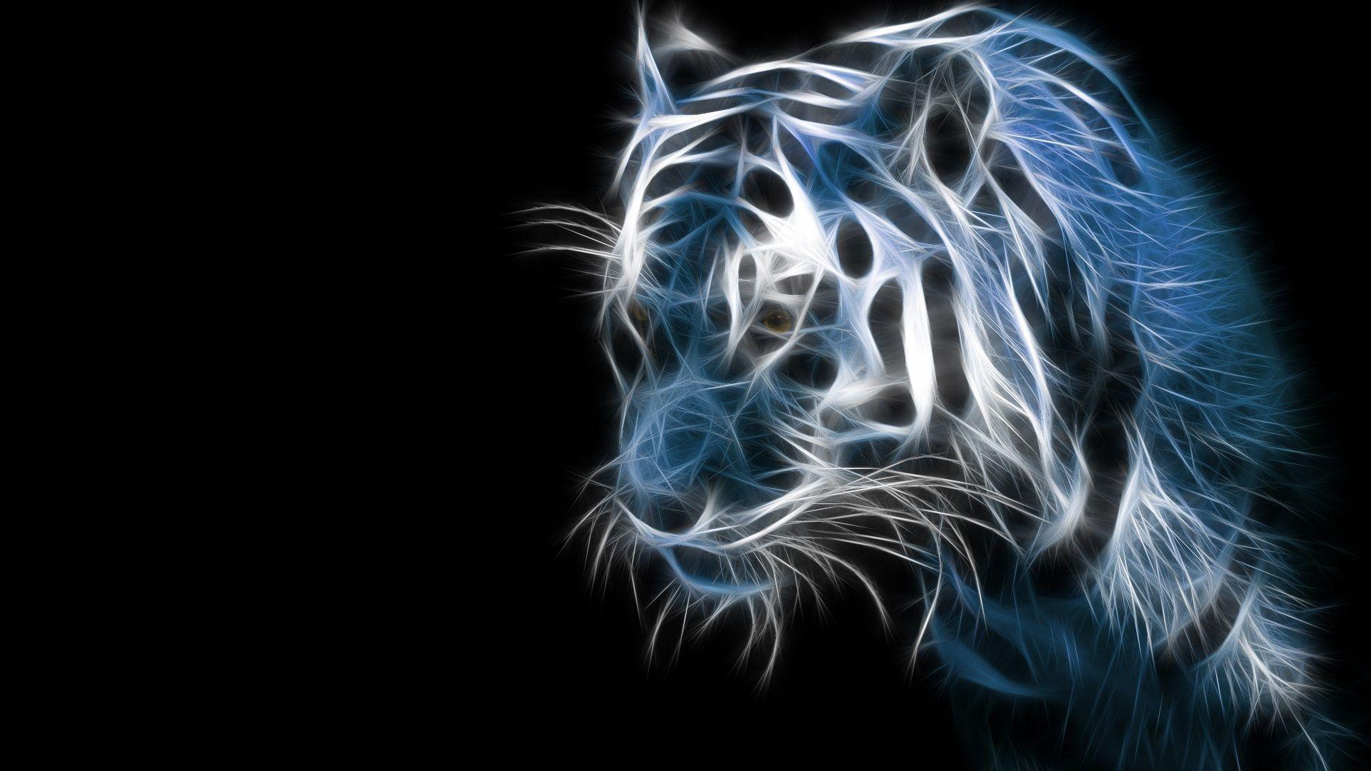 Tiger desktop wallpaper background HD dimensions background