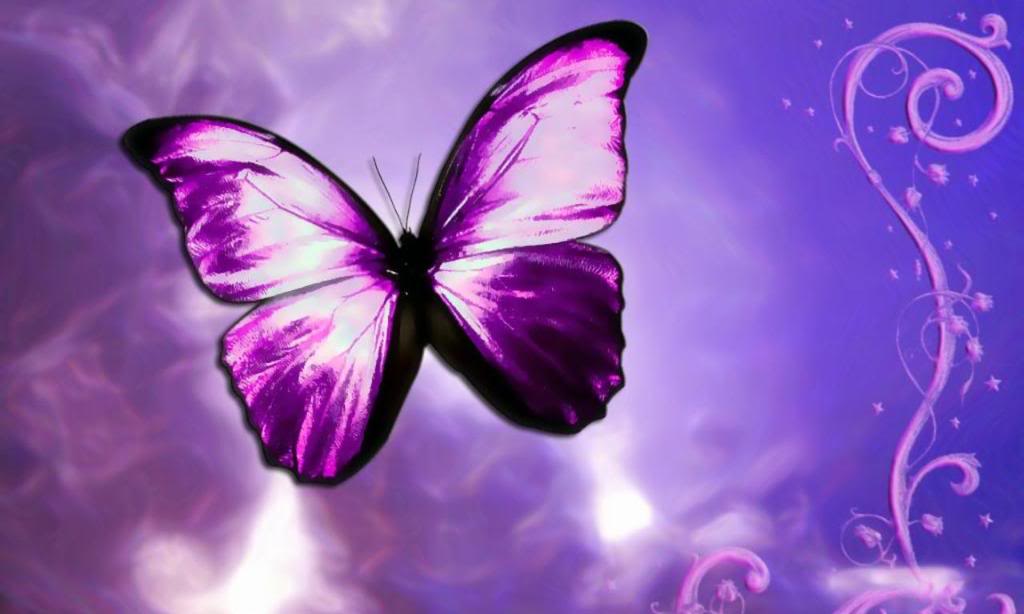 Purple Wallpapers 24 Backgrounds HD