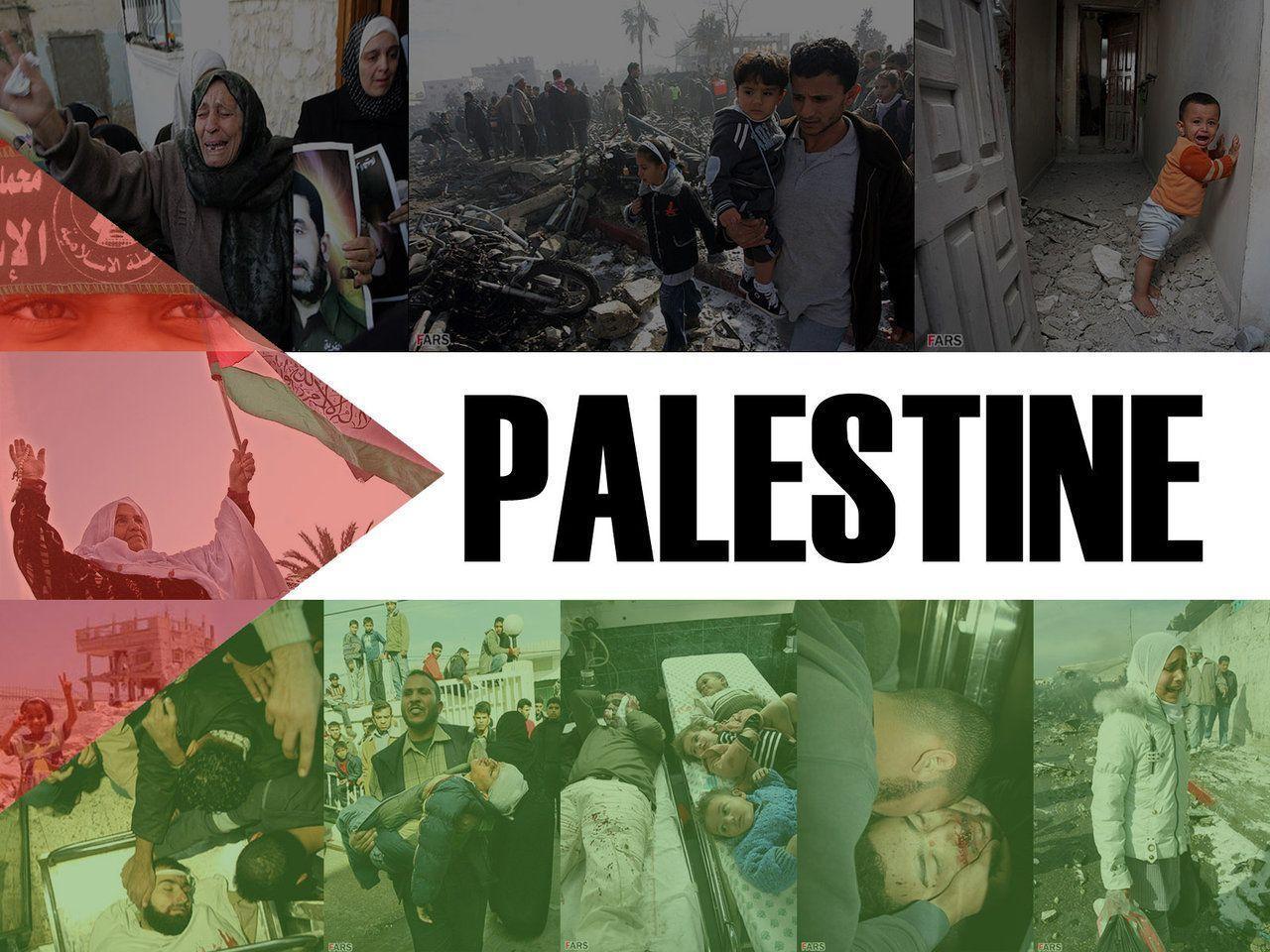 Pix For > Palestine War Wallpaper