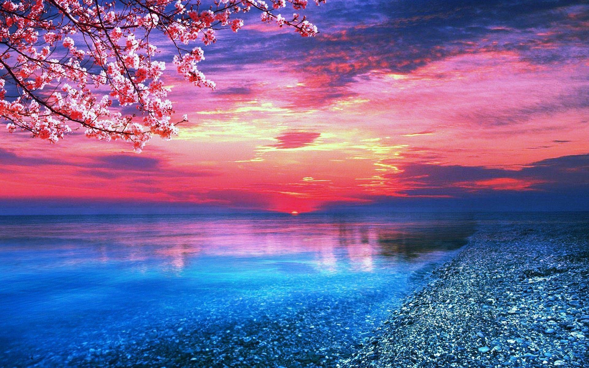 Blue And Pink Nature Wallpaper