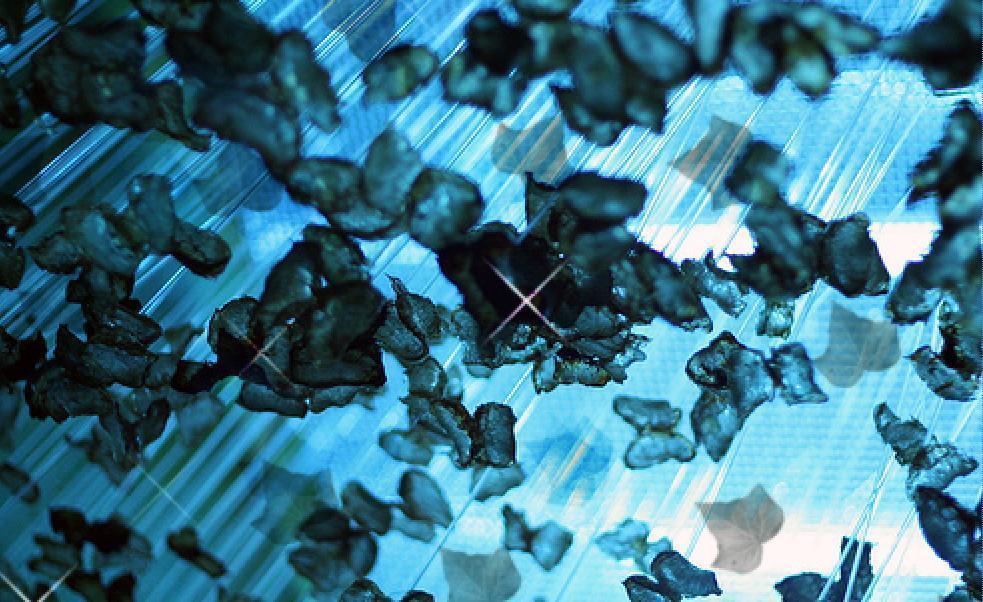 Pretty Blue Shine Crystals Picture and Photo. Imageize: 115 kilobyte