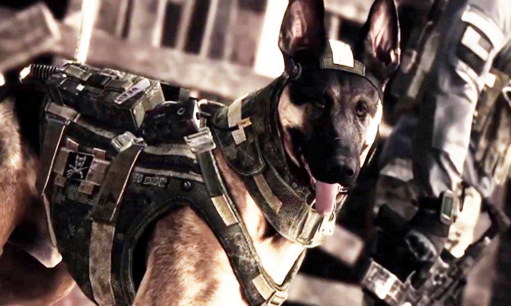 Call Of Duty Ghosts Dog
