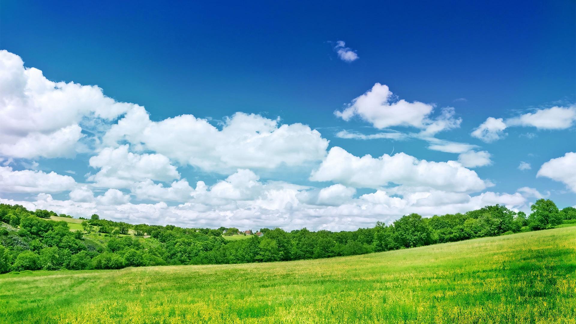 Free Download HD fresh summer grassland scenery background