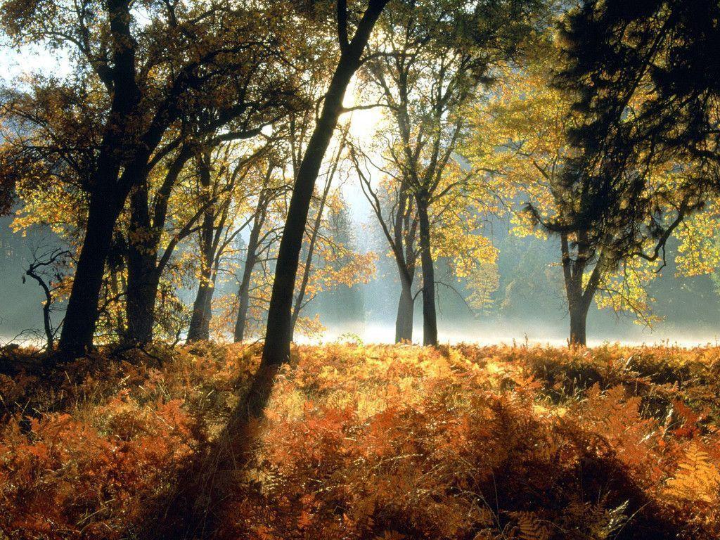 Autumn Landscape Wallpaper HD Image 3 HD Wallpaper