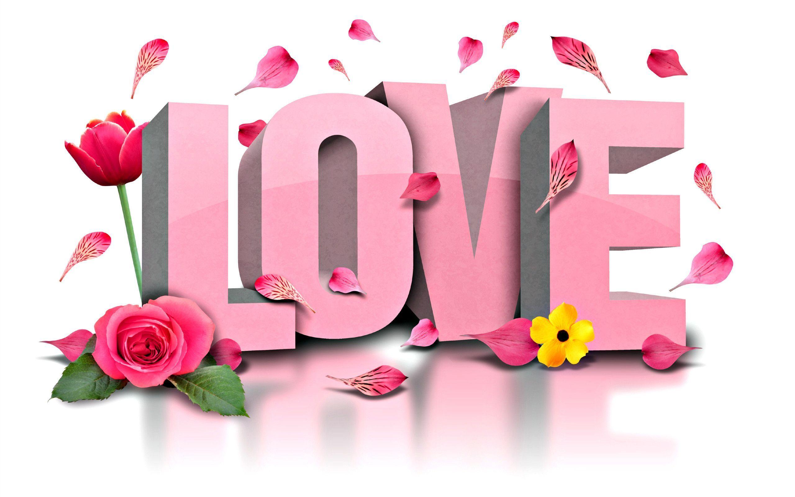 Pink Flowers Love Wallpaper 16454 Full HD Wallpaper Desktop