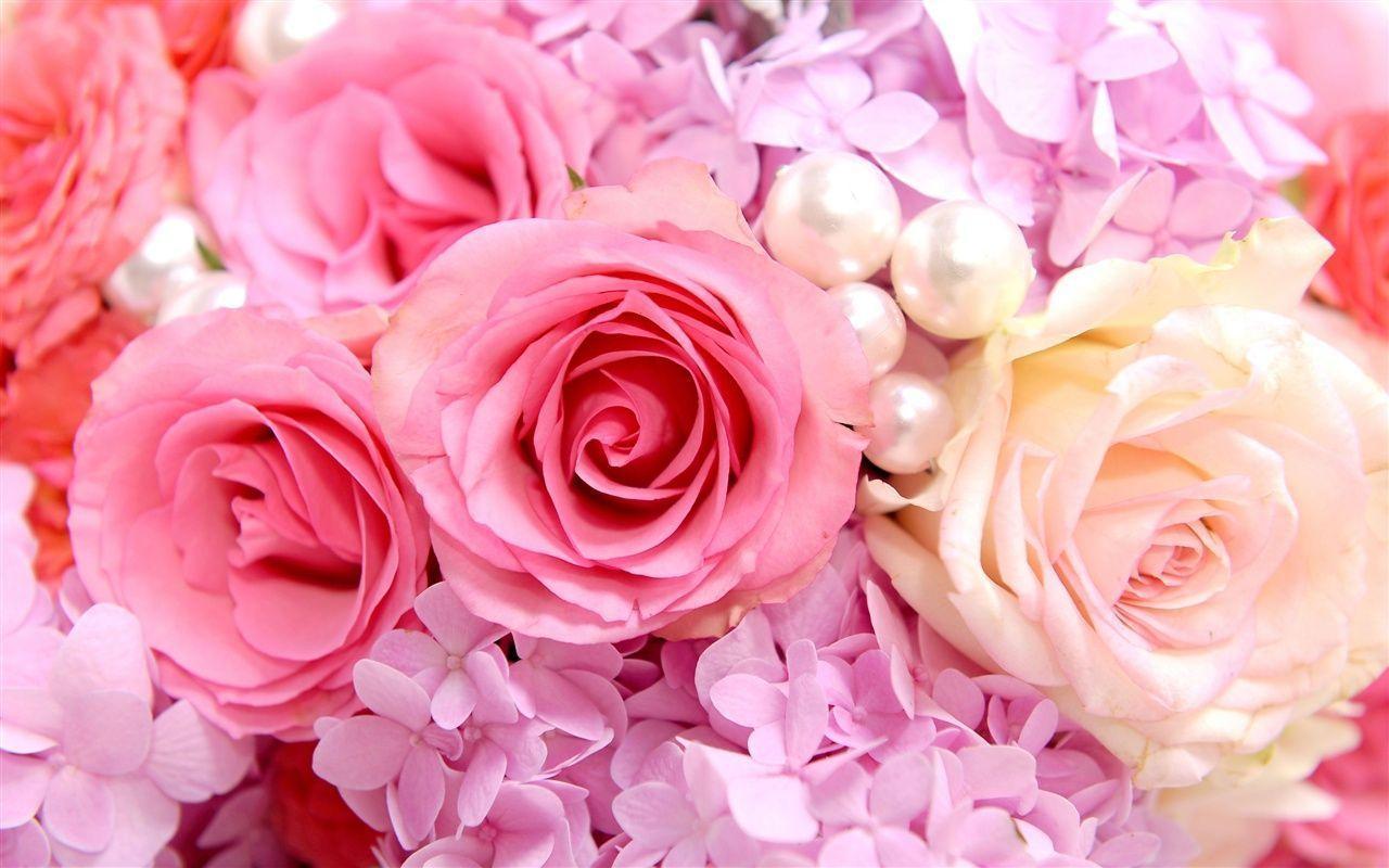 Flowers For > Pink Roses Background
