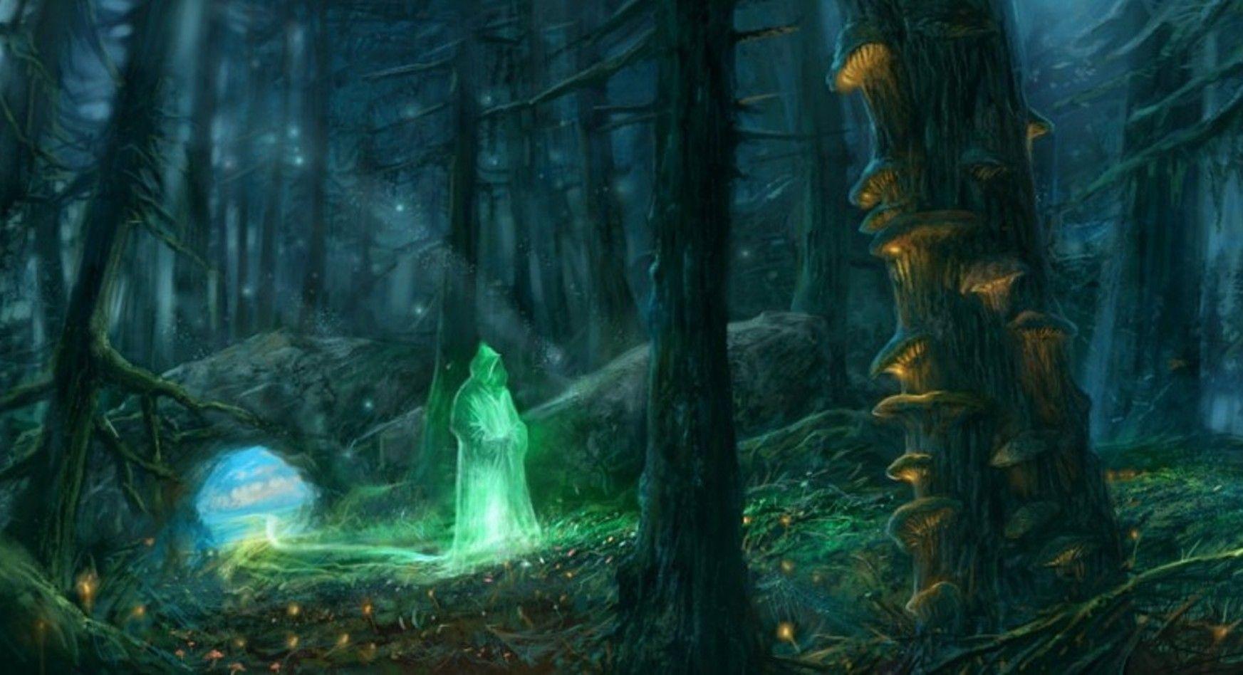 fantasy forest wizard wallpaper