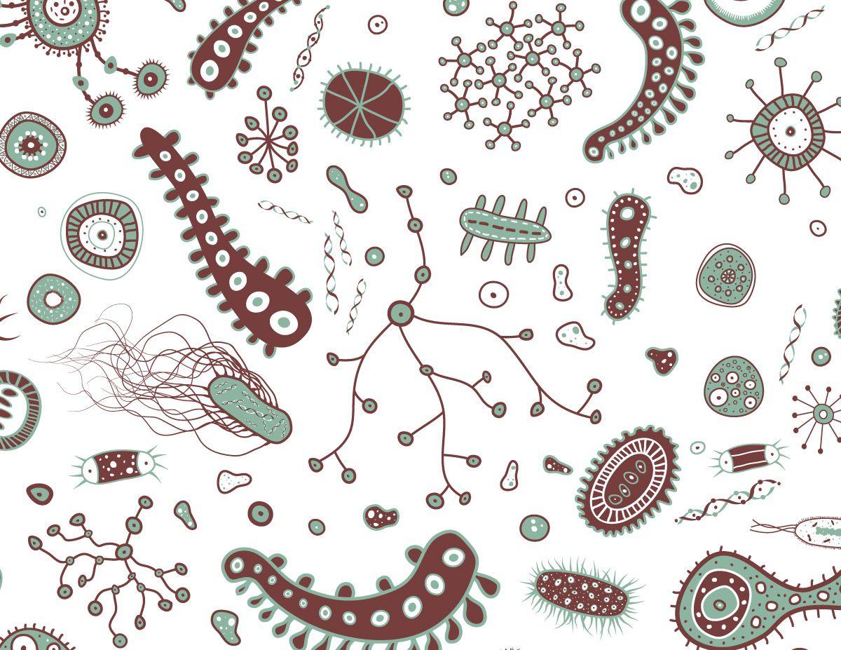 Bacteria, Virus, Germs and Bugs vector Pack download