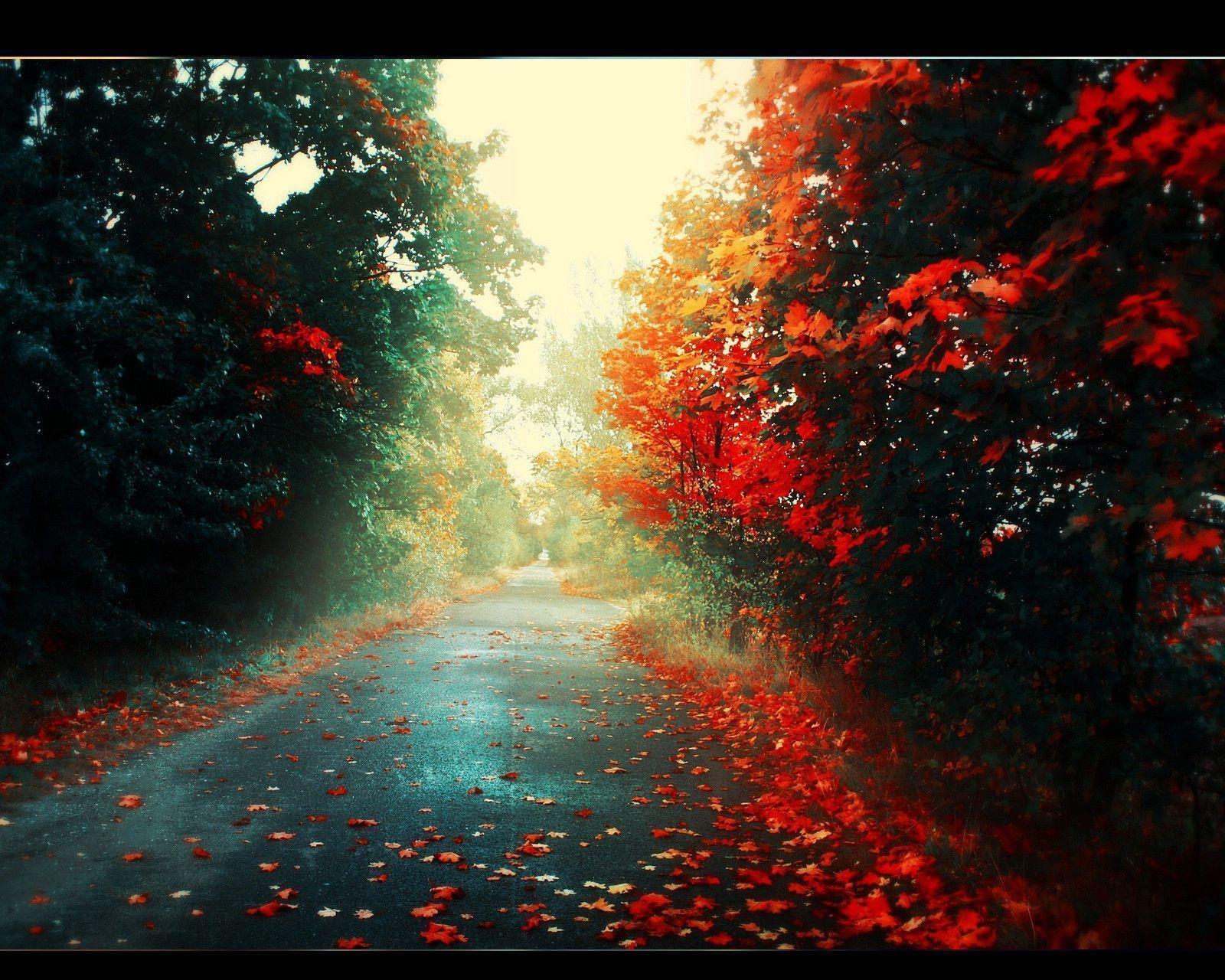 Amazing Nexus 7 wallpaper collection. AndroidNexus