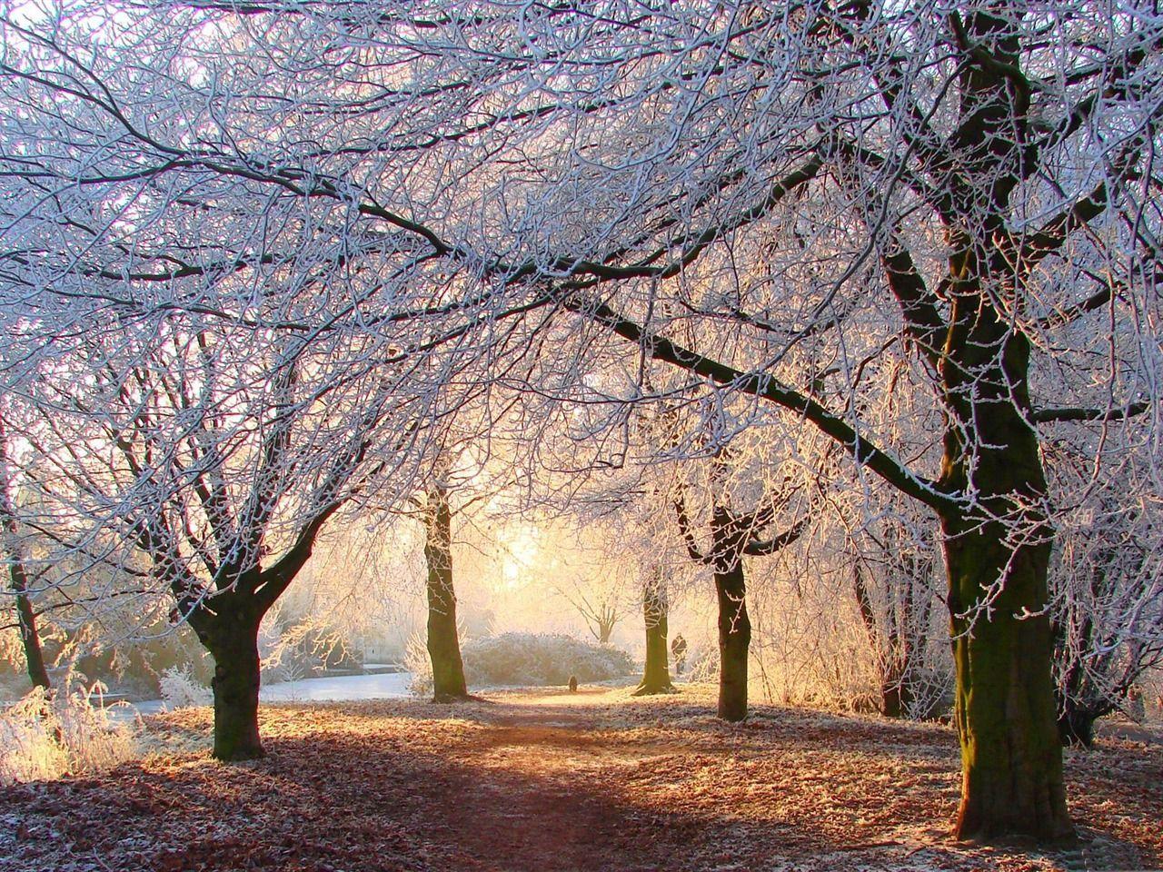 Beautiful Winter Light Winter Landscape Desktop Wallpaper