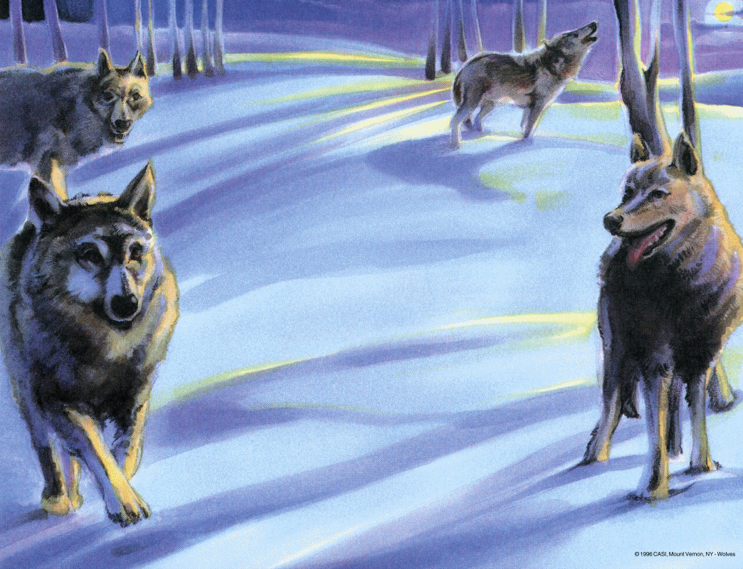 Eagle Gifts Galore Animal Background