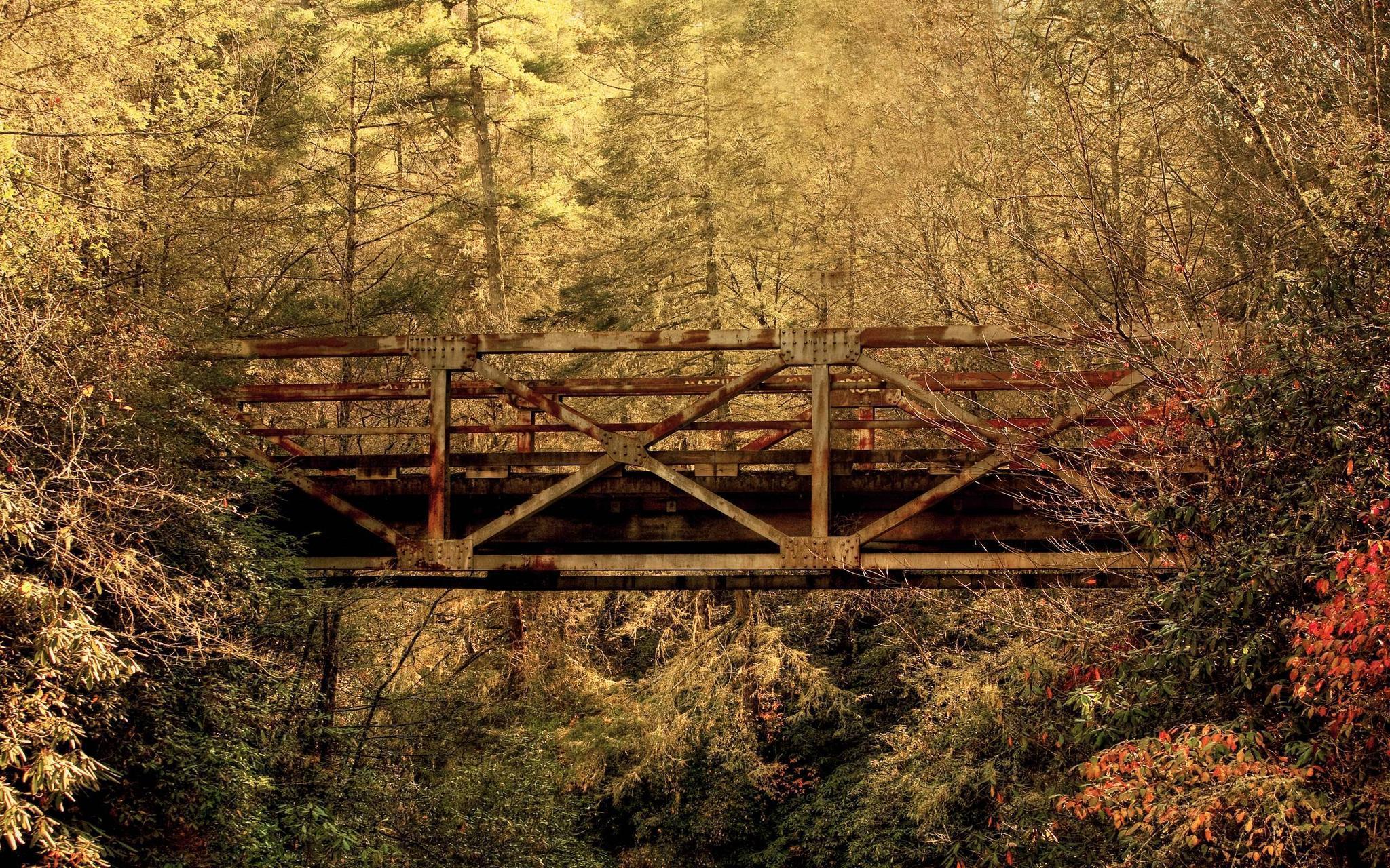 Railway bridge in the woods wallpaper and image