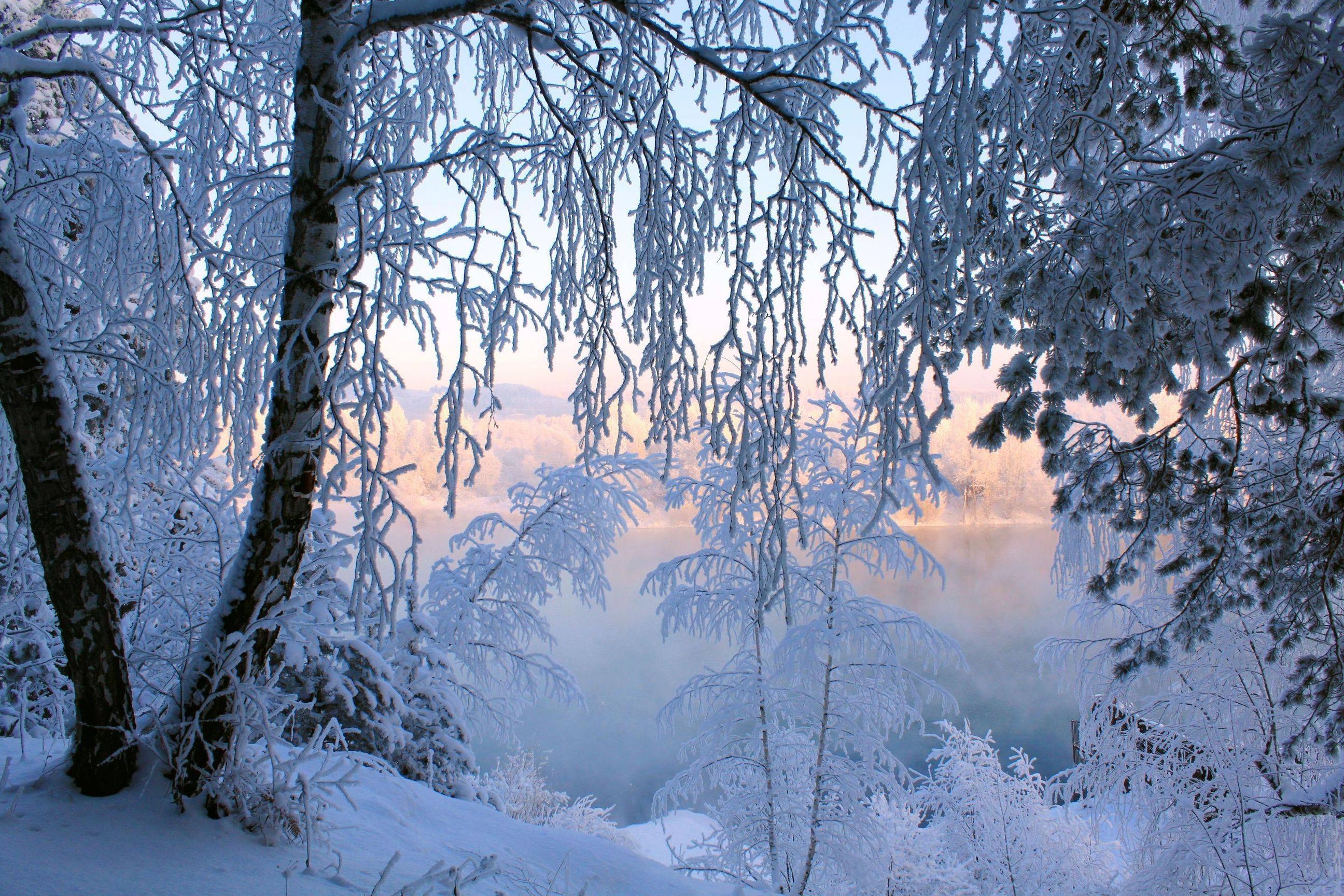 Wallpaper For > Beautiful Snow Scenery Wallpaper