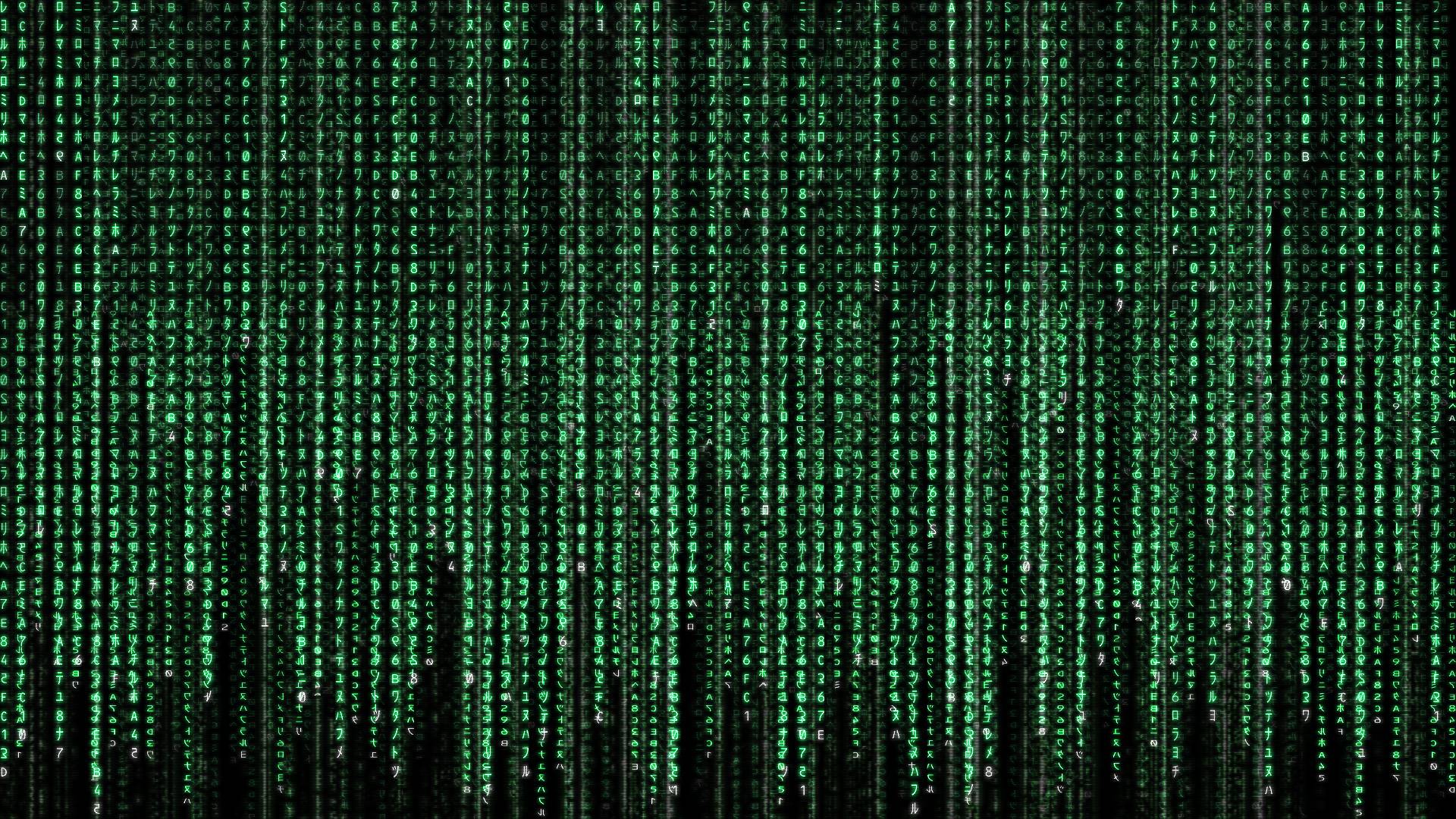 The Matrix Has You Wallpaper