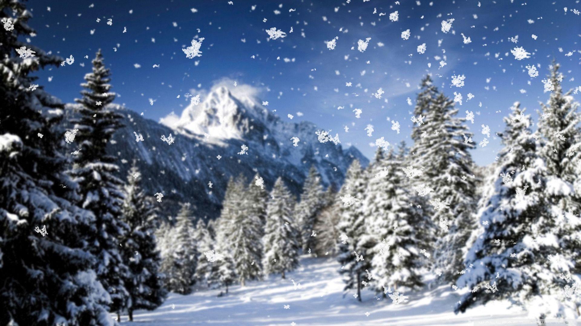 Snowing Backgrounds Wallpaper Cave
