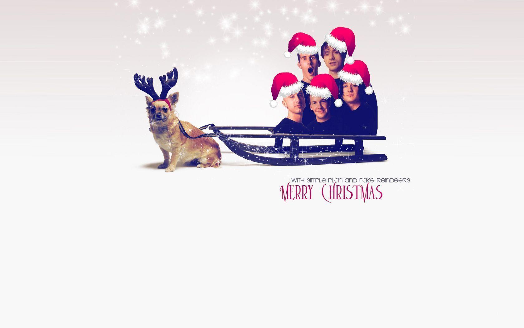 Simple Plan wallpaper Plan Wallpaper