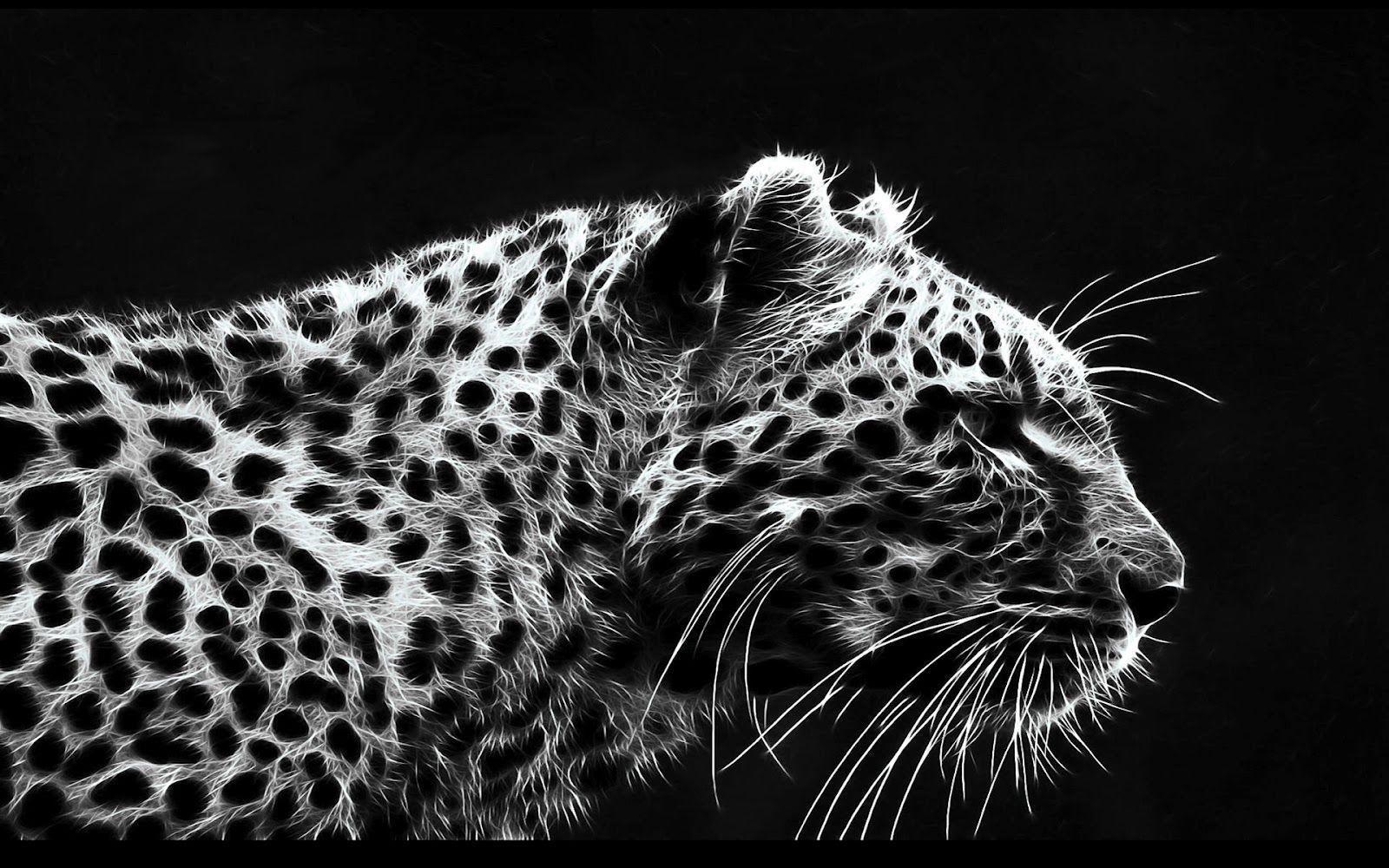 Wallpaper For > Twitter Background Black And White Cheetah