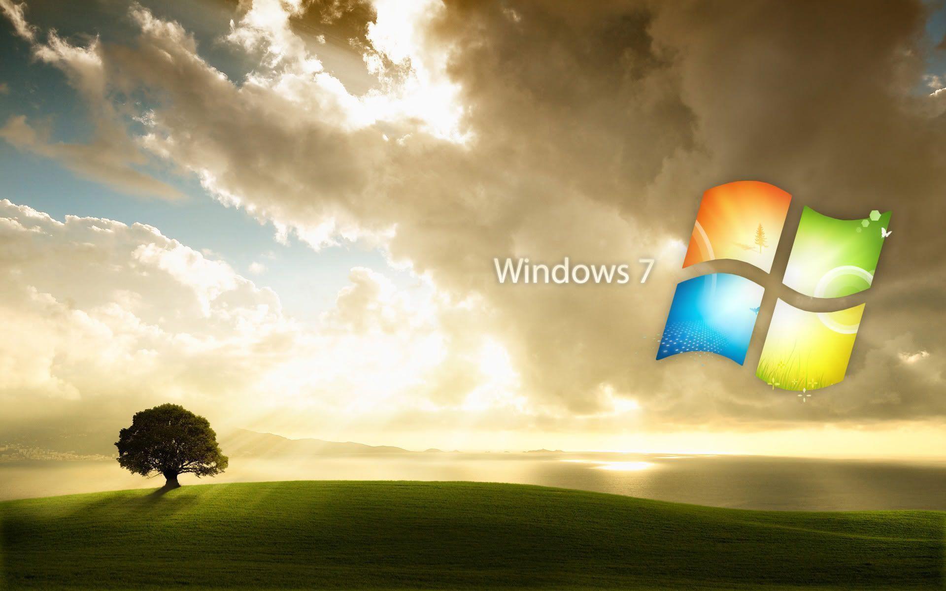 Windows 8 Wallpaper HD wallpaper