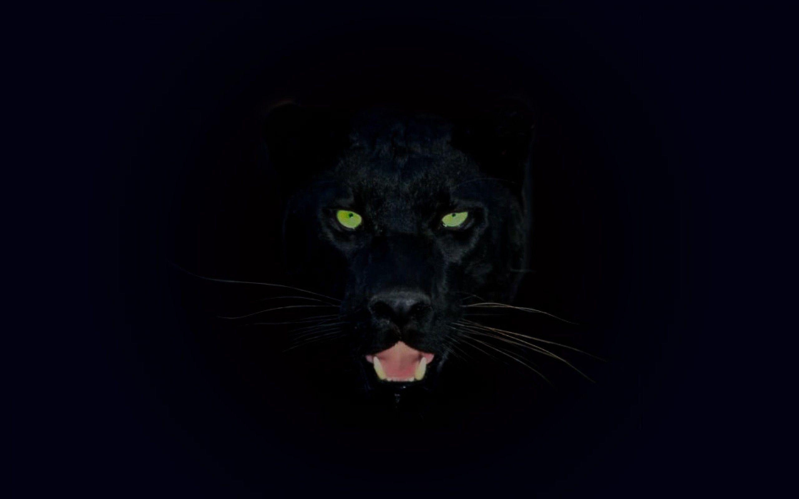 Black Panther for ios download free