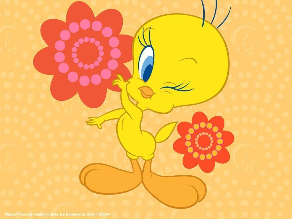 Tweety Wallpaper 16095 HD Picture. Top Background Free