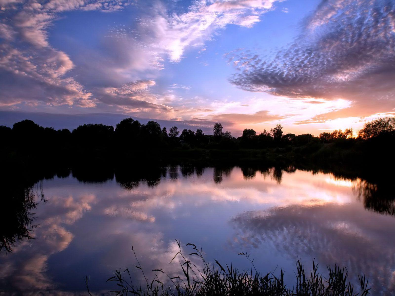 Desktop Background // Animal Life // Nature // Summer Twilight