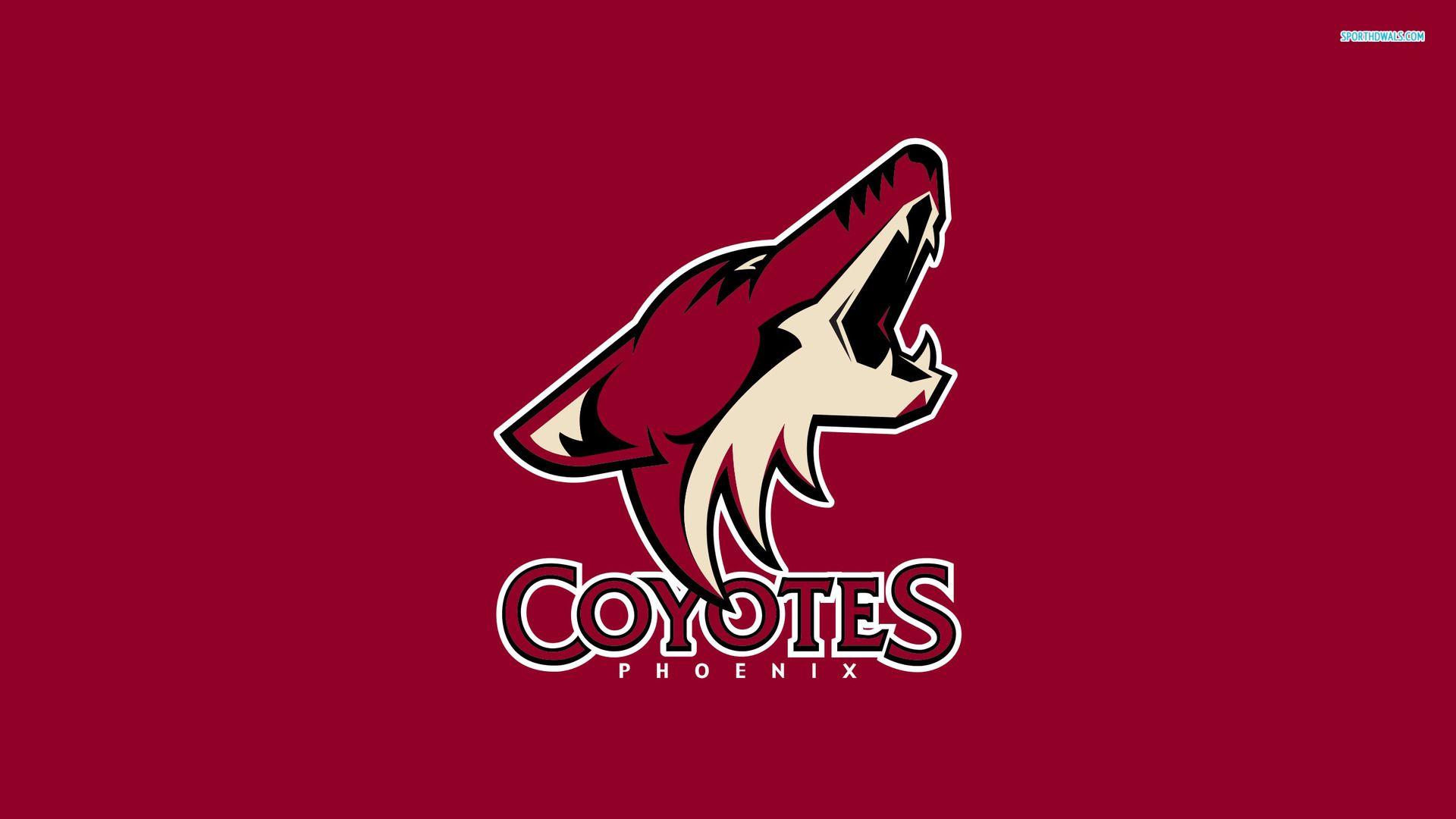 Phoenix Coyotes 138