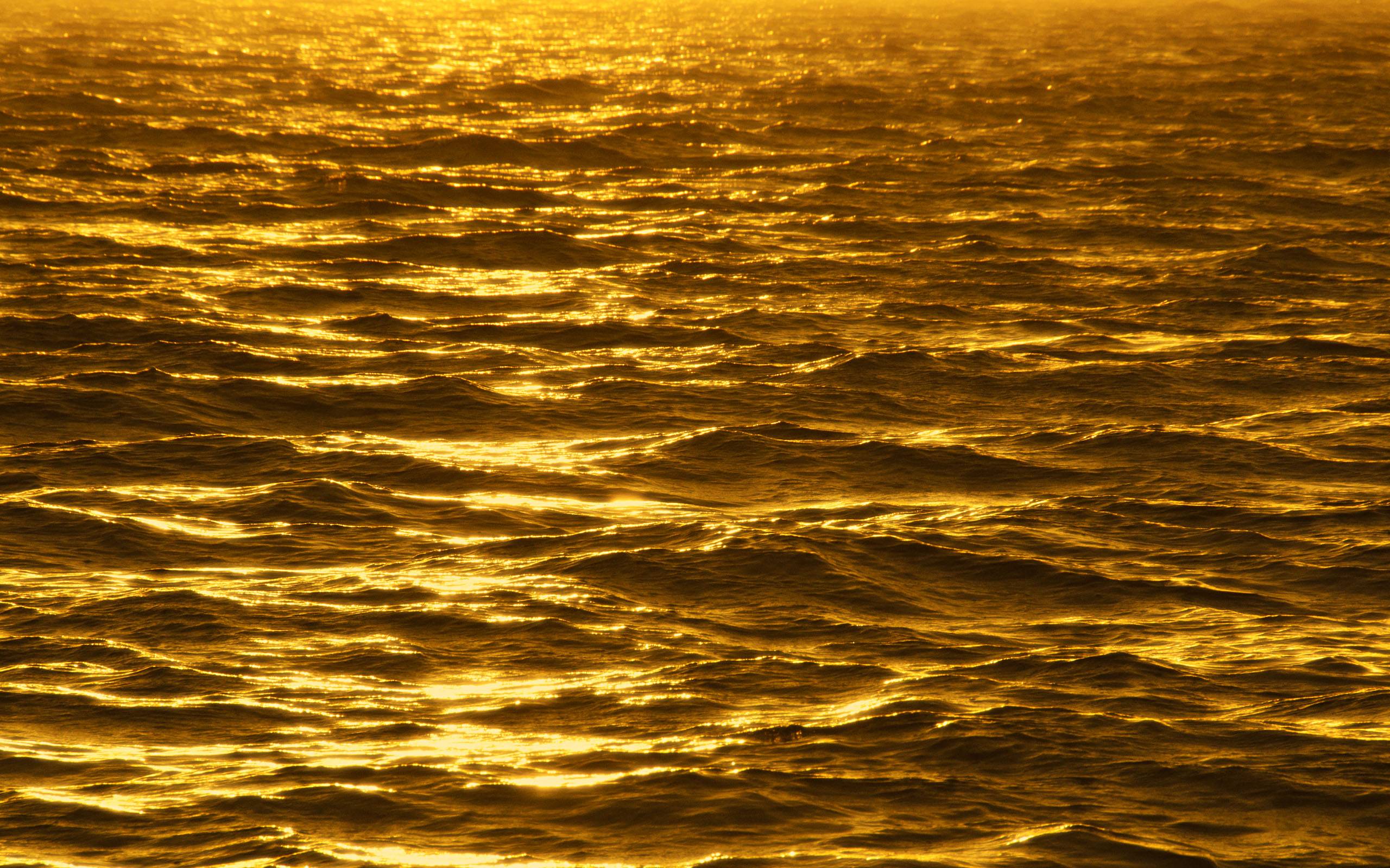 Wallpaper For > Gold Colored Wallpaper