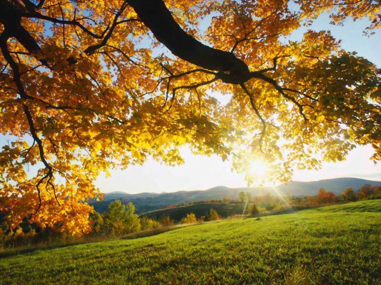 Cool Autumn HD Scenery Desktop Wallpaper