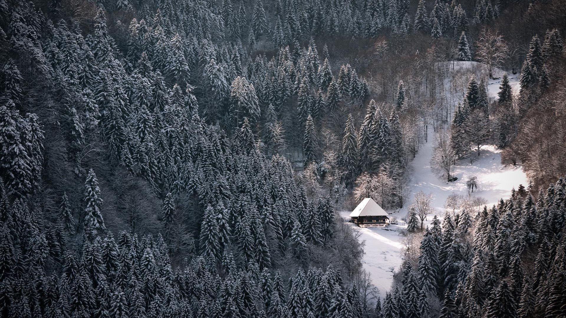 Black Forest Wallpapers Wallpaper Cave Black Forest Wallpapers Wallpaper Cave