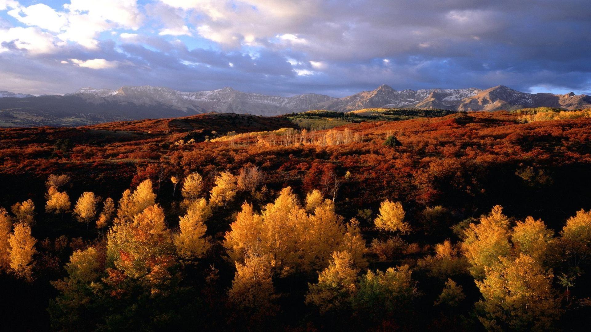 Seasonal colors grand tenon national park Wyoming park reserve