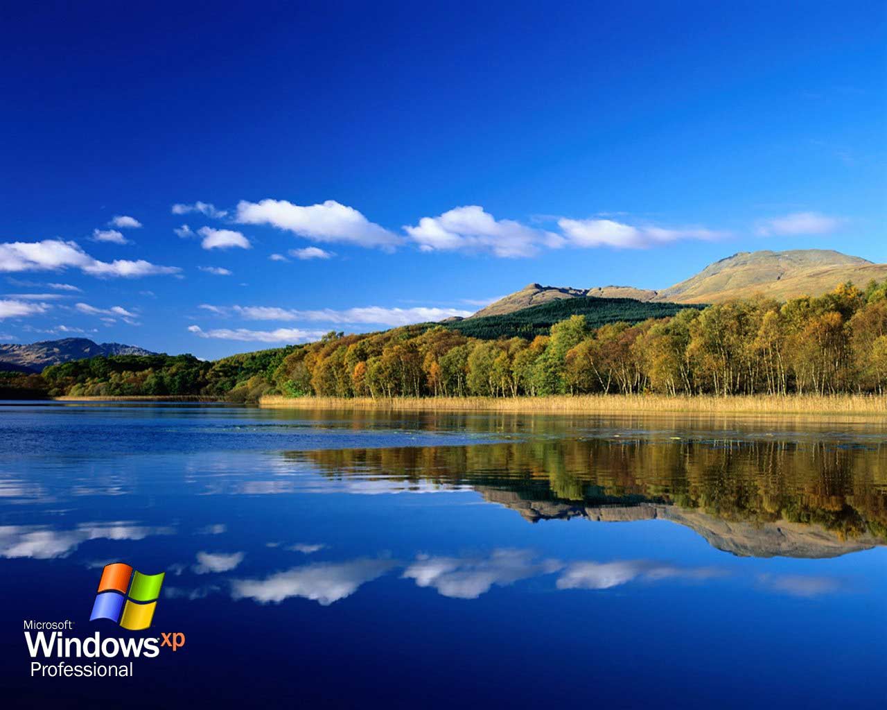 Windows XP Wallpapers HD Wallpaper Cave