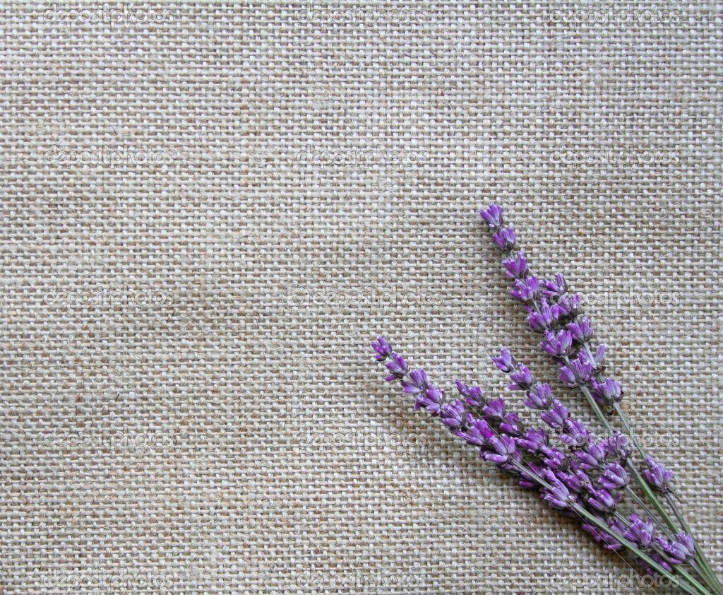 Lavender Flowers Wallpaper HD. Freetopwallpaper