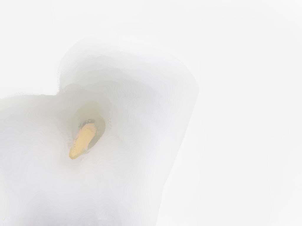 Kristen Wallpaper and Picture Items