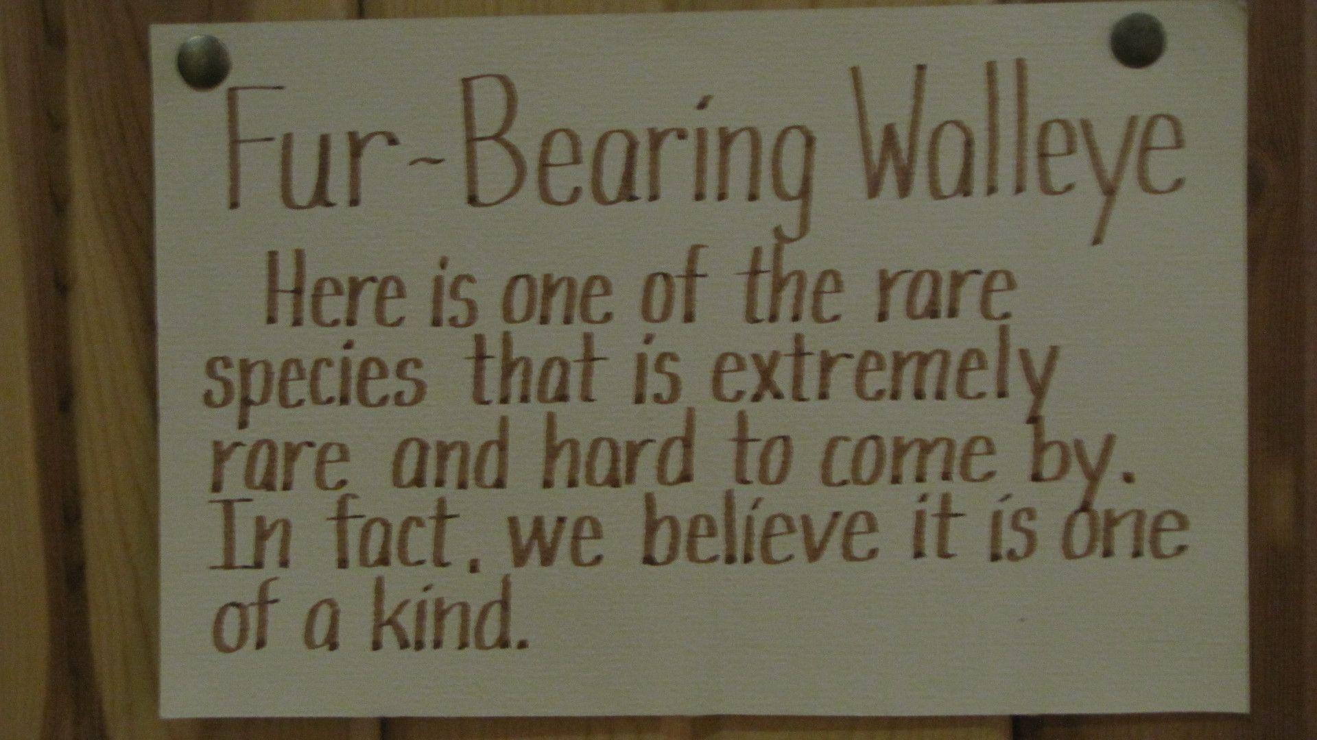 Around the country trip! Hike