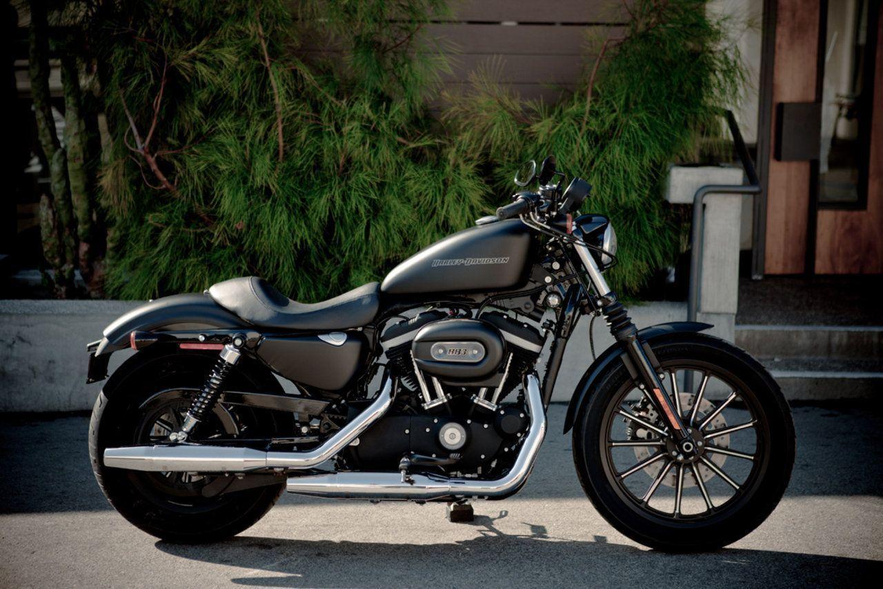 Harley Davidson Iron 883. Motorcycle Picture and Wallpaper