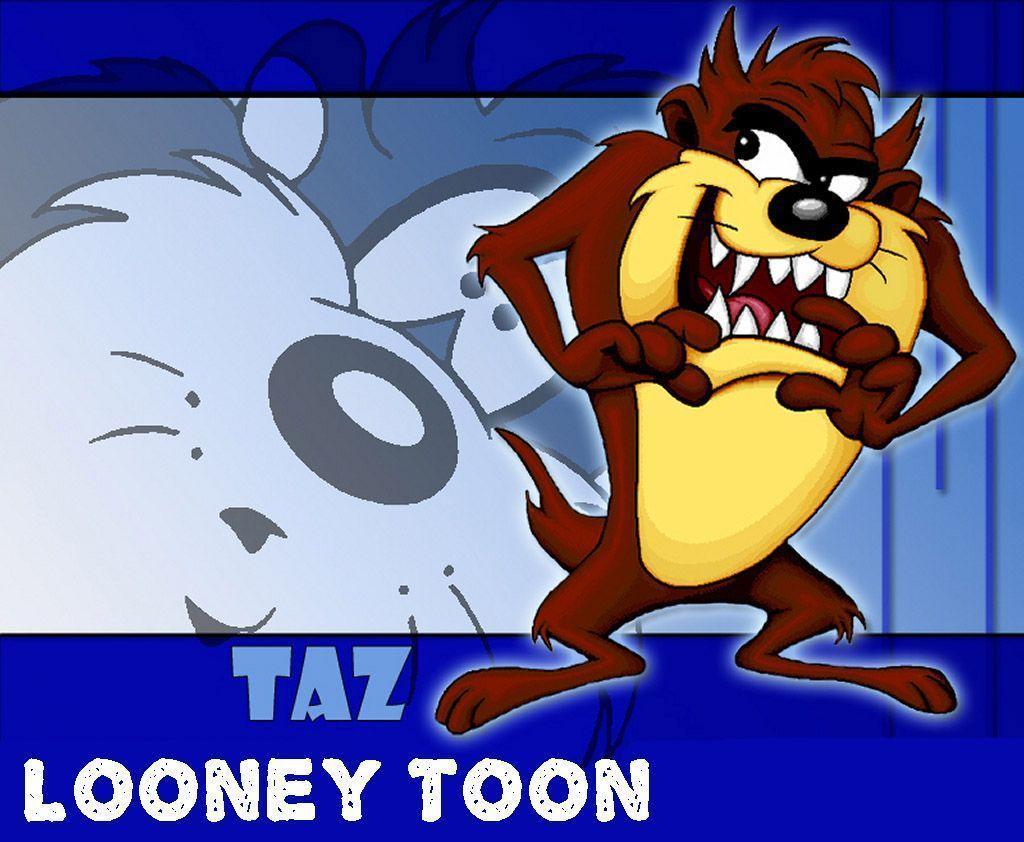 Looney Tunes Tasmanian Devil Character Wallpapers