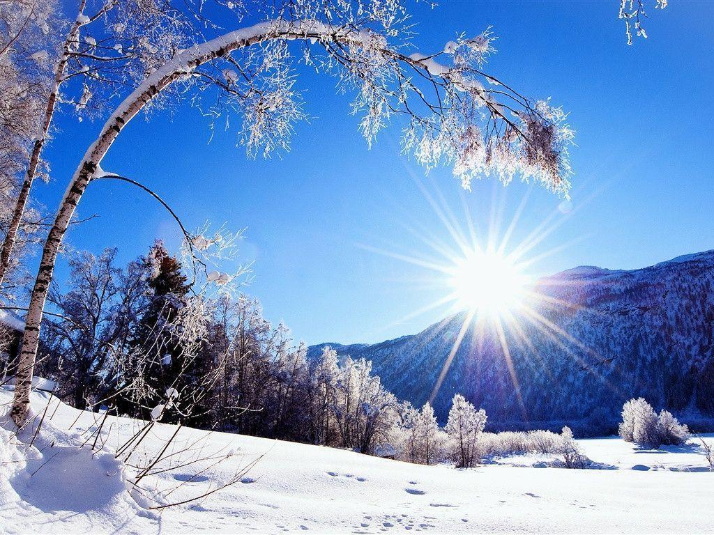 Winter, snow, mountains and trees, white scenery, dazzling