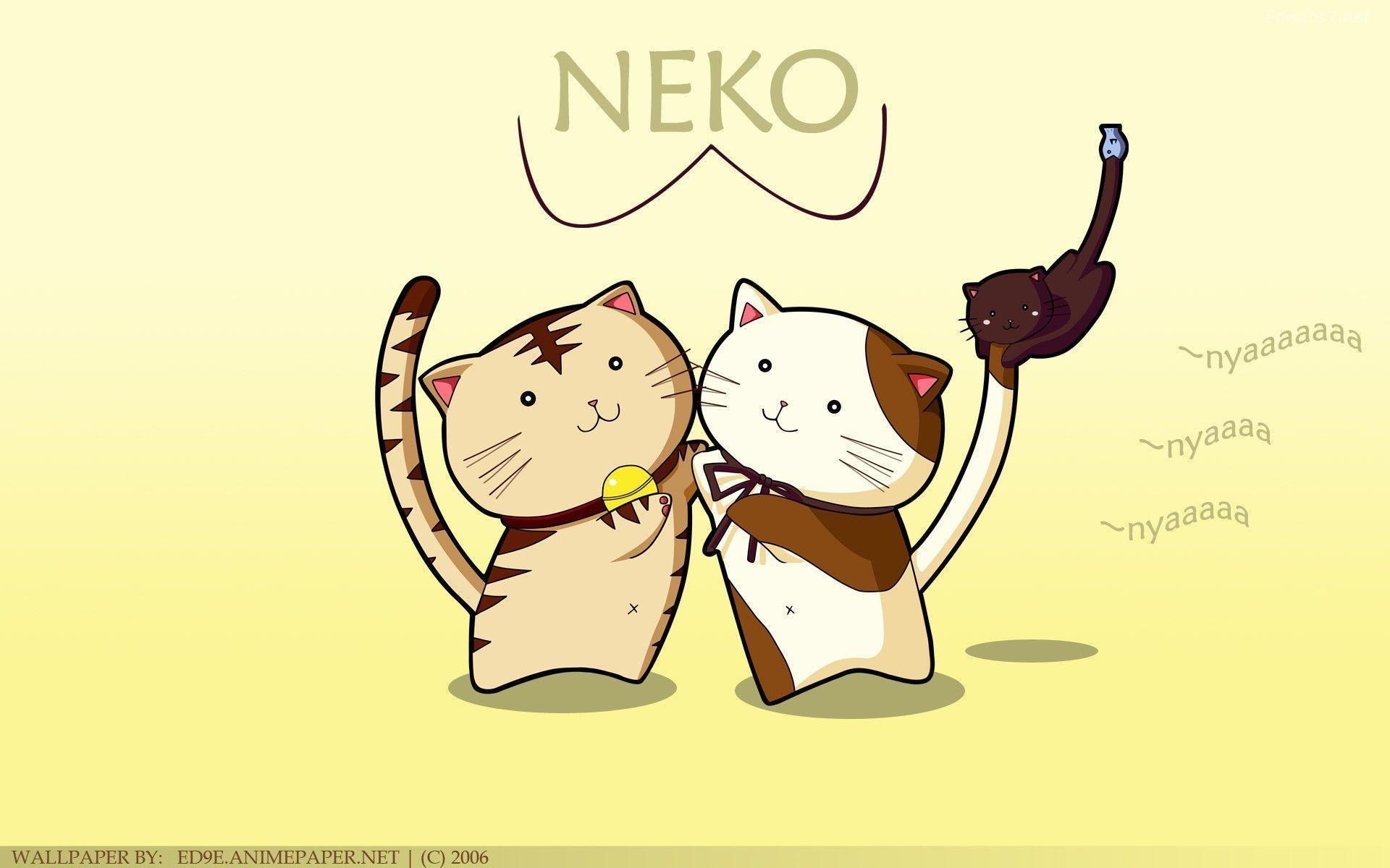  Neko  Wallpapers  Wallpaper  Cave