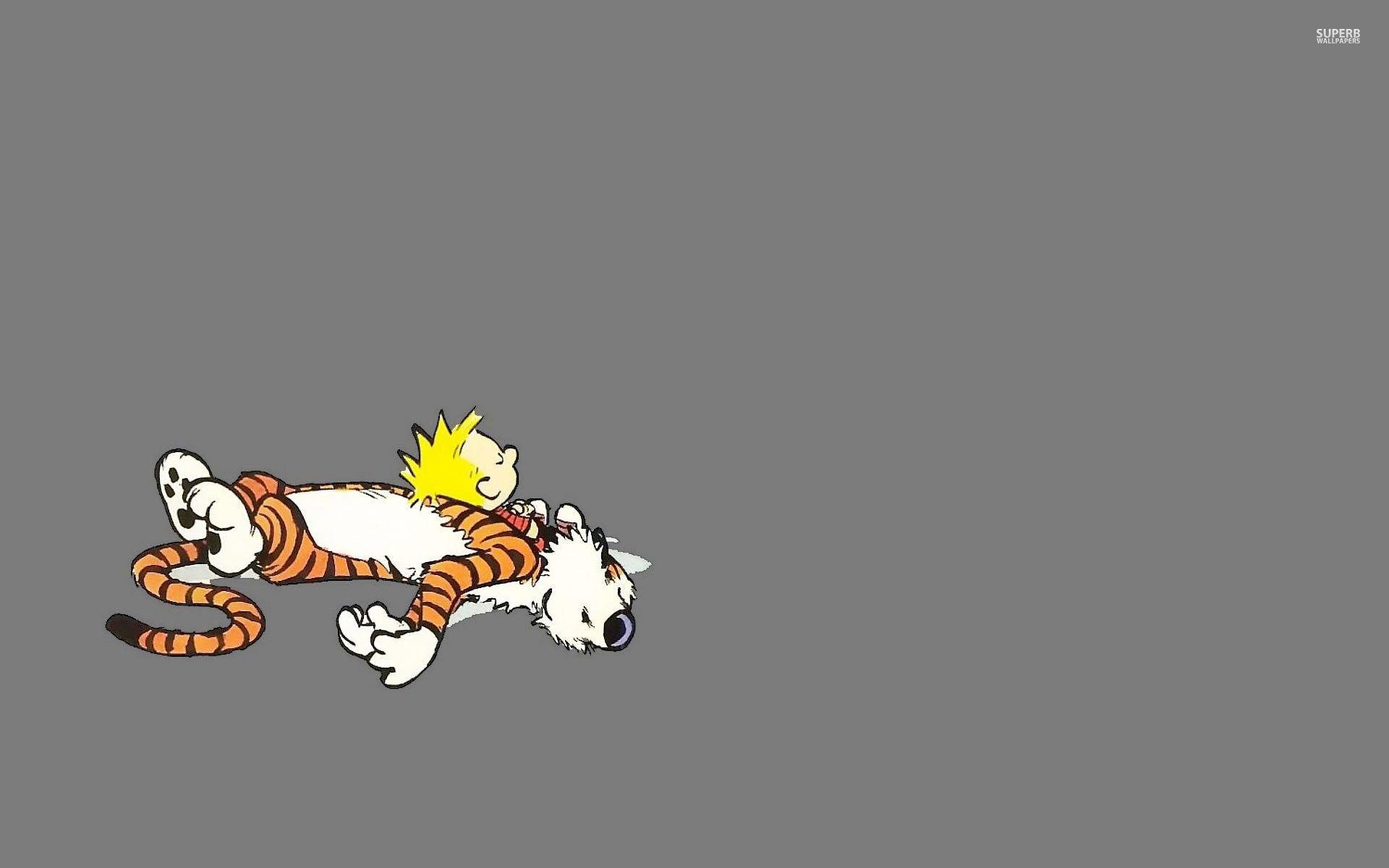 Calvin And Hobbes Wallpaper HD wallpaper search
