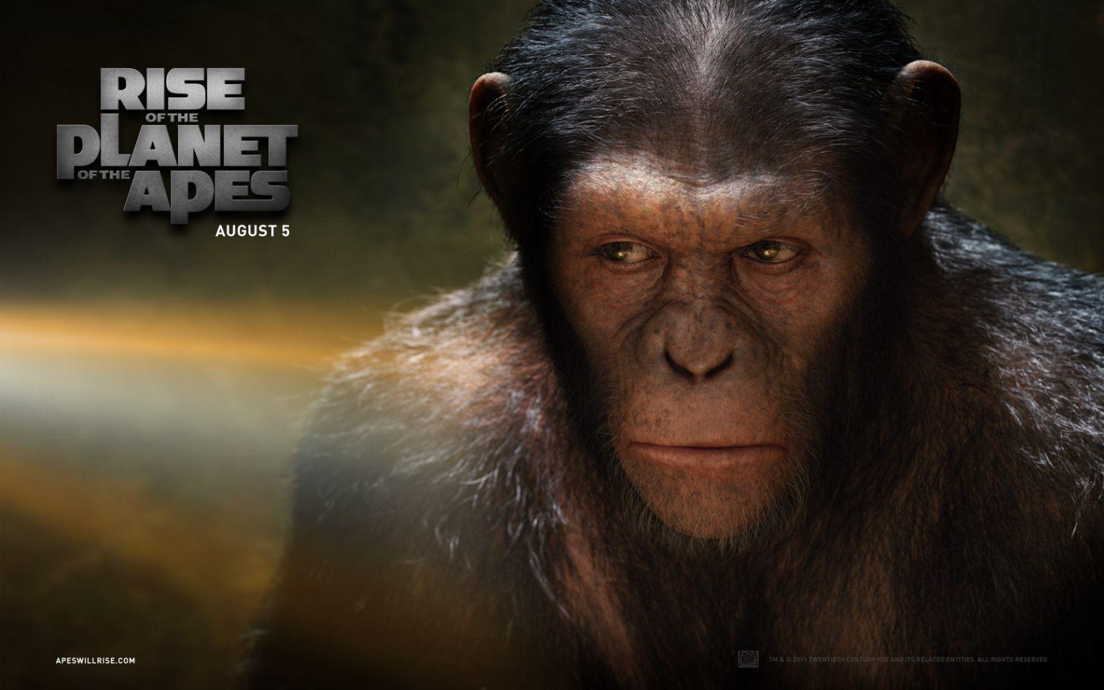 Download Movie Rise Of The Planet Of The Apes Wallpaper 1600x1000