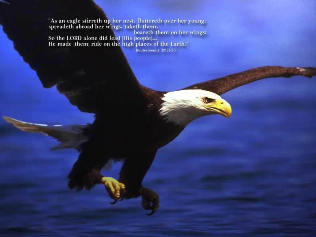 Deuteronomy 32:11 13 An Eagle Wallpaper