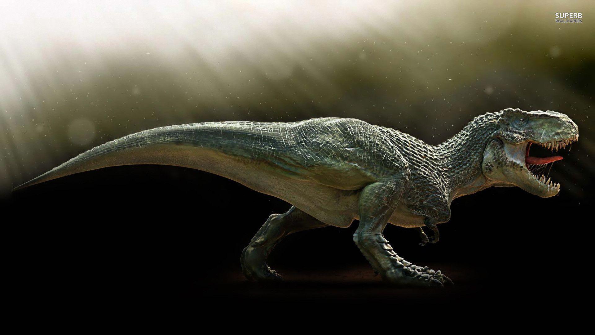 Featured image of post Rex Dinossauro Wallpaper Baixe esta imagem gratuita sobre dinossauro tiranossauro dino da vasta biblioteca de imagens e v deos de dom nio p blico do pixabay