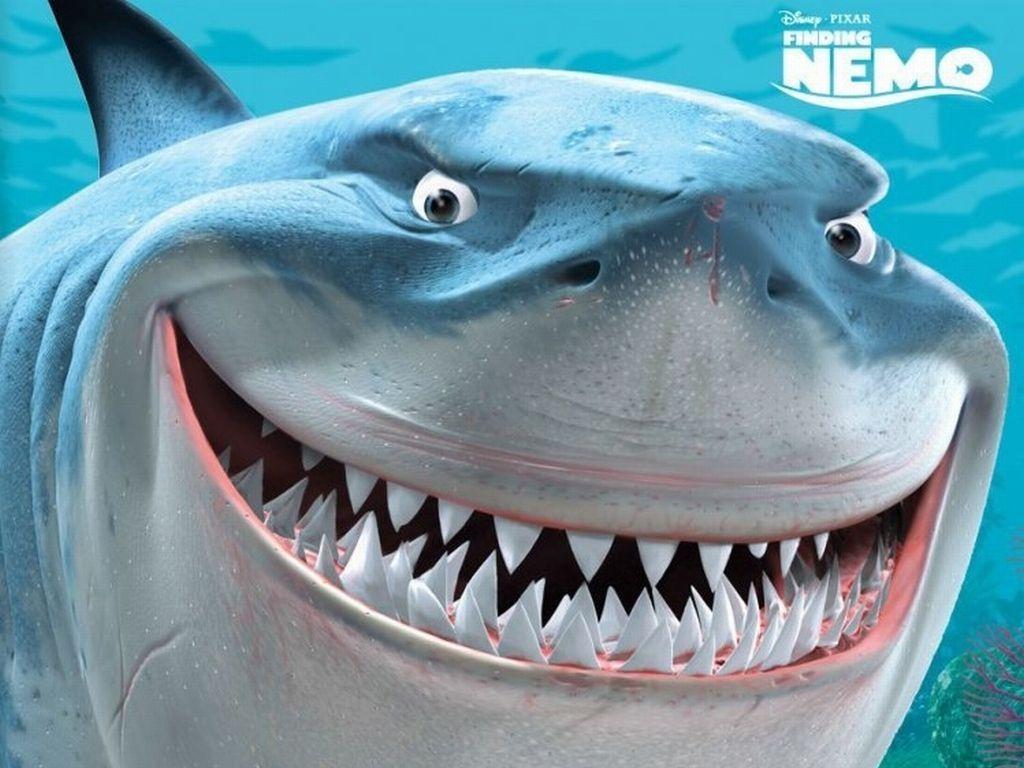 Finding Nemo, Bruce the Shark Wallpaper Nemo Wallpaper