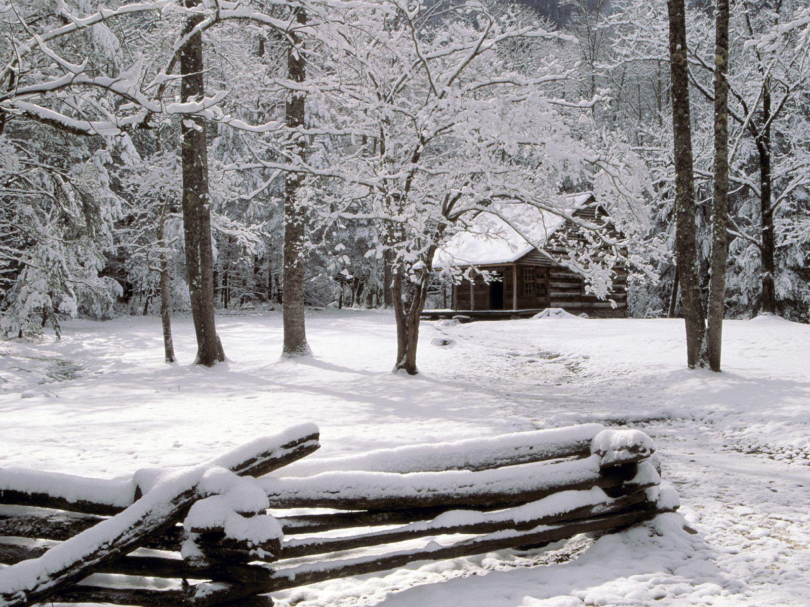 Winter HD Wallpaper. Winter Season Wallpaper Free Download