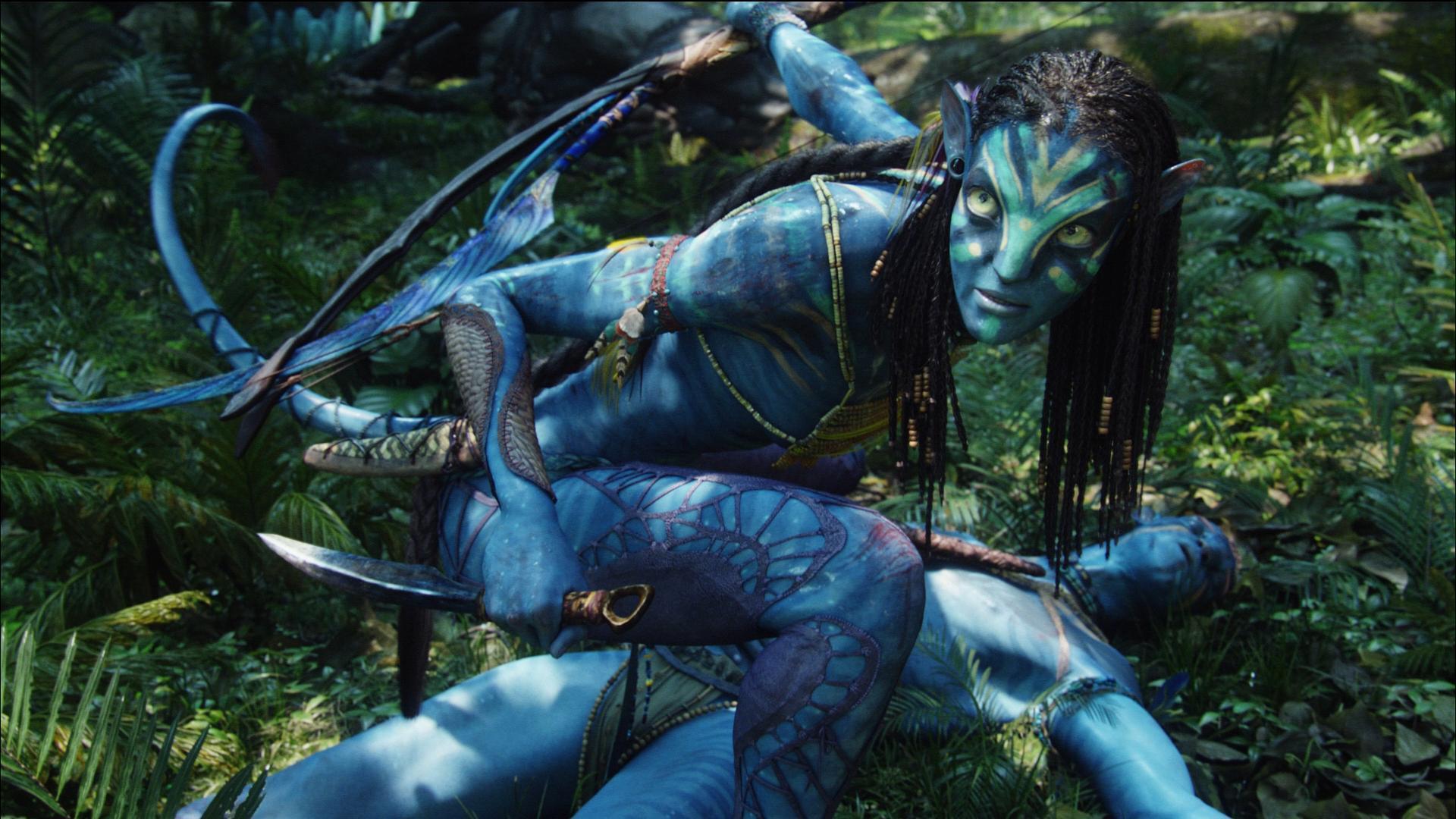 Original Avatar HD Wallpaper for All Avatar Wallpaper Fans Movie