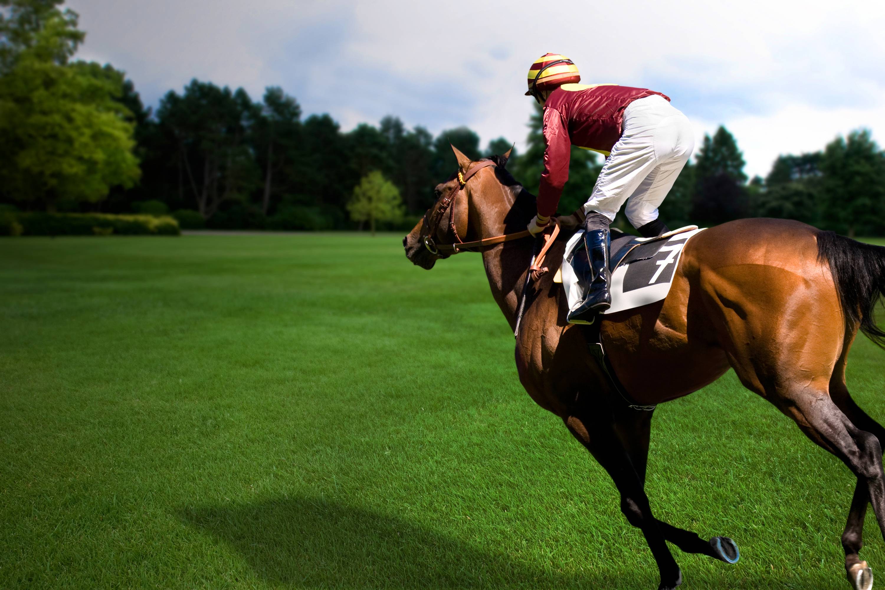 Racing Horse Hd Wallpaper Download