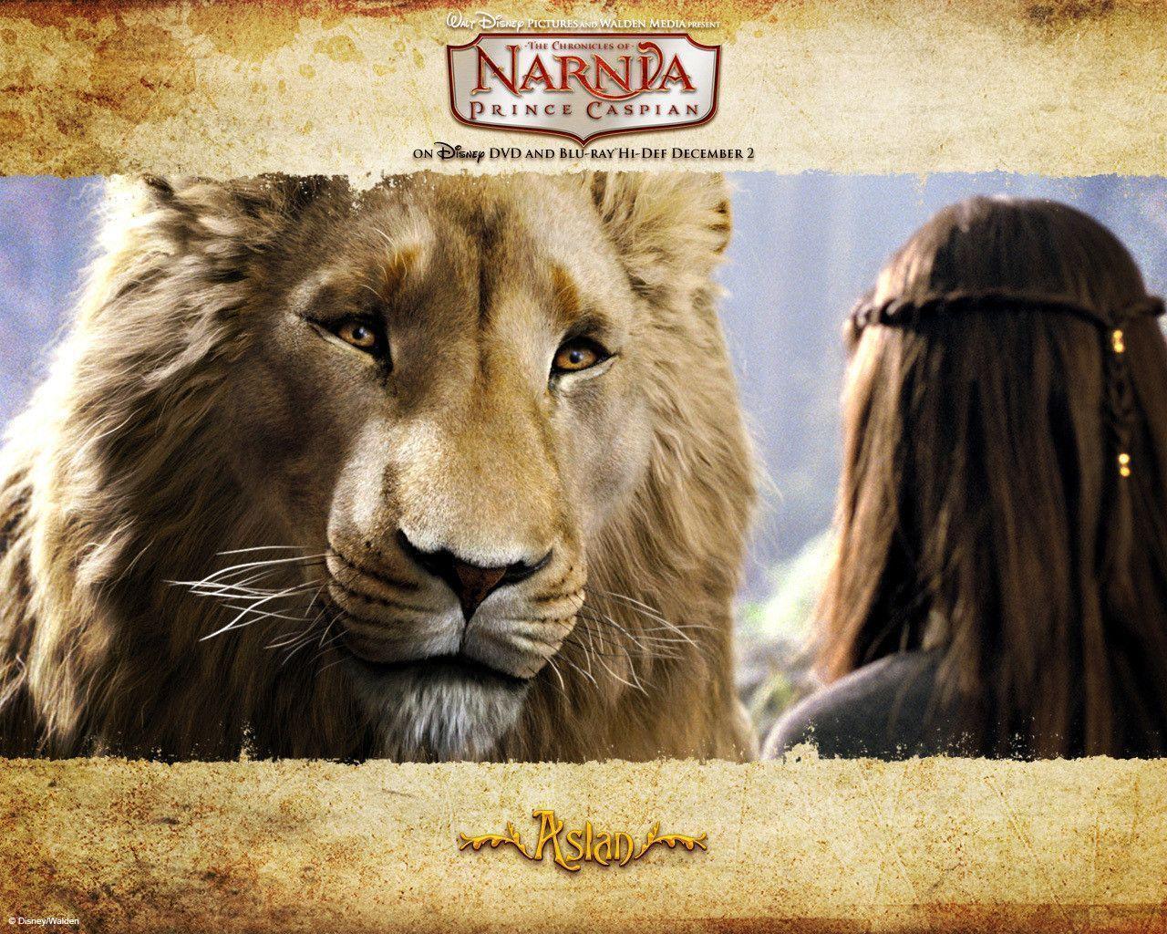 Aslan Chronicles Of Narnia Wallpaper