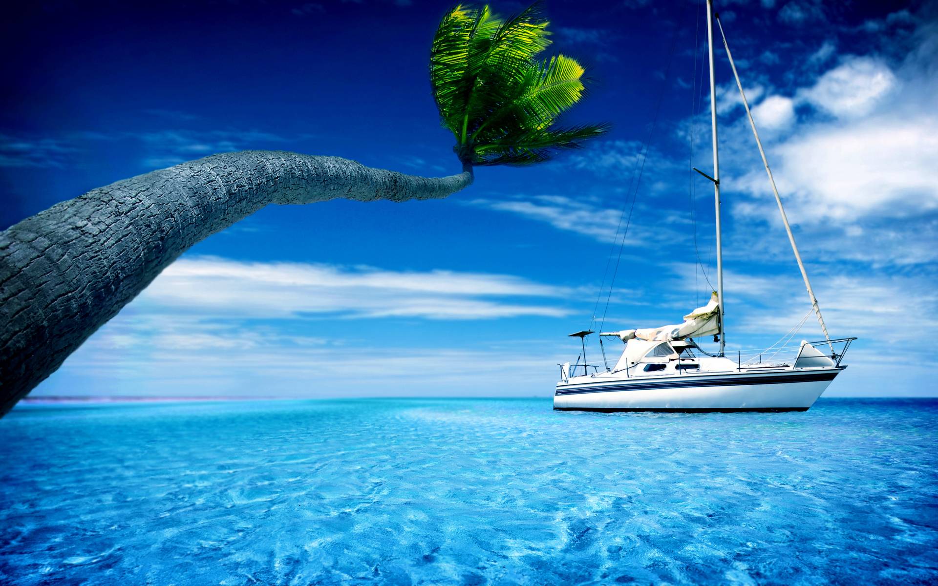 Palm Tree and Yacht widescreen wallpaper. Wide
